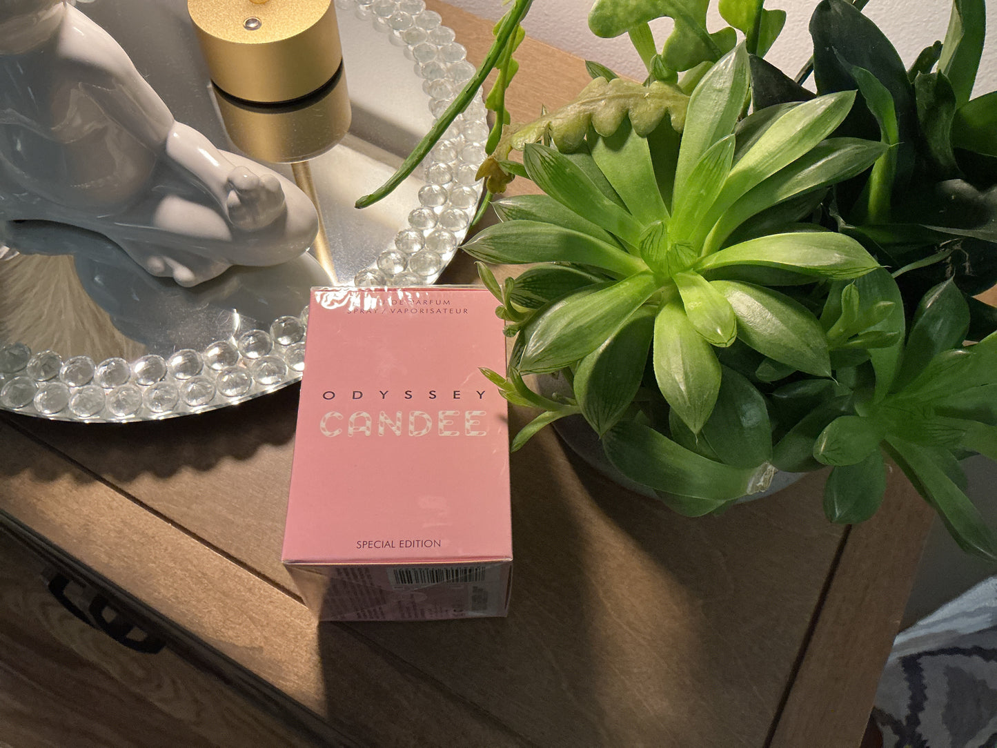 Odyssey Candee
