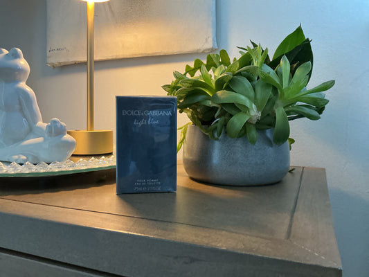 Dolce & Gabbana Light Blue